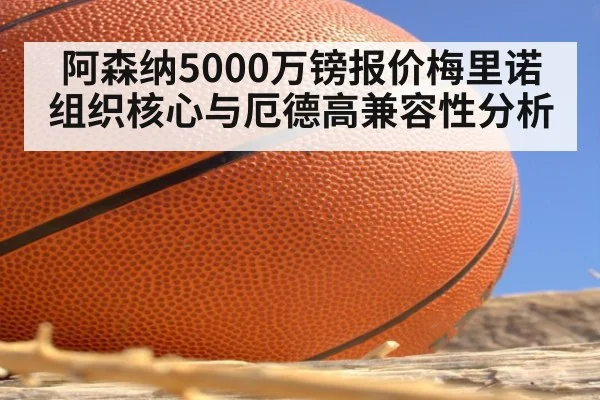 阿森纳5000万镑报价梅里诺组织核心与厄德高兼容性分析
