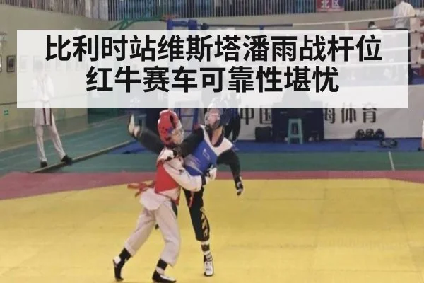 比利时站维斯塔潘雨战杆位 红牛赛车可靠性堪忧