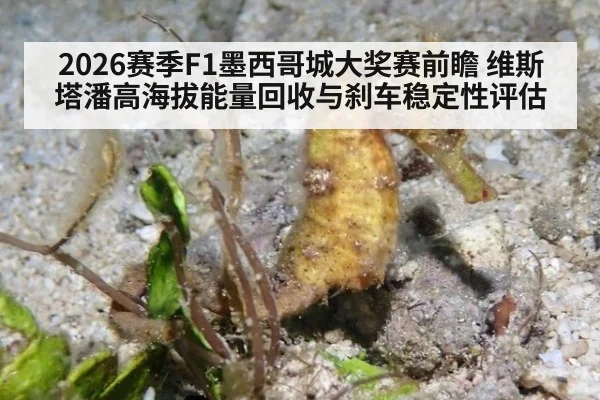 2026赛季F1墨西哥城大奖赛前瞻 维斯塔潘高海拔能量回收与刹车稳定性评估